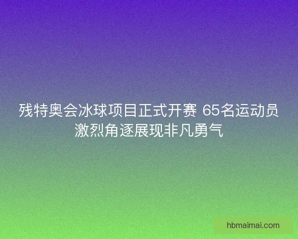 残特奥会冰球项目正式开赛 65名运动员激烈角逐展现非凡勇气